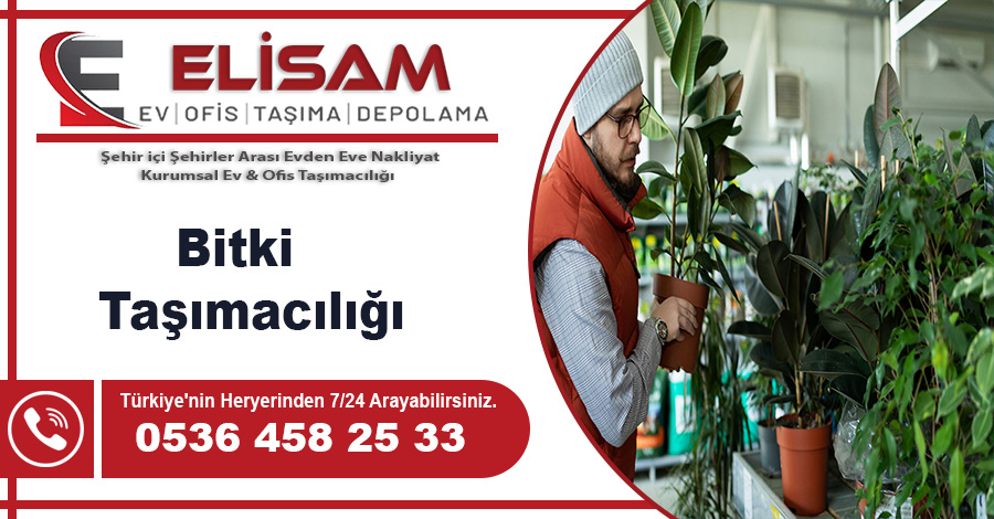 Bitki Taşımacılığı